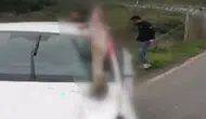 İstanbul'da meydana gelen feci kazada atın bacağı otomobilin camına saplandı