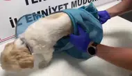 Tekirdağ'da uyuşturucu operasyonu : 18 şüpheli tutuklandı, 1 kilo 718 gram uyuşturucu ele geçirildi