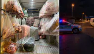 Sakarya'da İki Ton Sekiz Yüz Dokuz Kilo Kaçak Et Ele Geçirildi