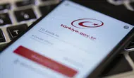 E-Devlet'e erişim problemleri neden yaşanıyor ve çözüm süreci nedir ?