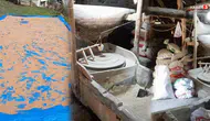Ata Tohumu ile Başlayan Doğal Un Üretimi Neden Bu Kadar Talep Görüyor?
