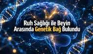 Ruh Sağlığıyla İlişkili Beyin Yapısında 45 Genetik Varyantın Keşfi Neleri Gösteriyor?
