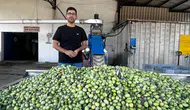 İzmir'deki Zeytin Üreticileri, Artan Maliyetler ve Düşen Fiyatlar Nedeniyle Zarar Ediyor mu?