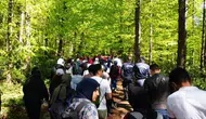 Düzce'de 500 genç Topuk Yaylası'nda doğa yürüyüşü ve dragon kano etkinliğine katıldı