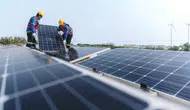 WWF Raporu: Enerji Dönüşümünde Hızlanma Var Mı, Yeterli Mi?