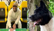 Eski Yıldız Jermaine Pennant Köpek Saldırısına Uğradı