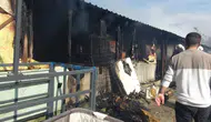 Bir Ahırda Çıkan Yangın Sonucu Çok Sayıda Hayvan Telef Oldu