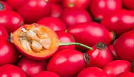 Acerola Nedir ve Neden Bu Kadar Önemli? C Vitamini İçeriği ile Dikkat Çekiyor