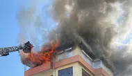 Antalya'daki yangında yaralı olarak kurtarılan kedi Luna, ailesine kavuştu