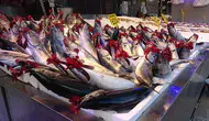 Palamut irileşti, yağlandı; fiyatı da arttı
