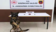 Erzincan’da Uyuşturucu Operasyonu: Çok Sayıda Gözaltı