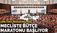 2027 Yılı Bütçe Maratonu Ne Zaman Başlayacak ve Süreci Nasıl İşleyecek?