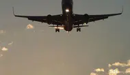 Okyanusta kaybolan 6 kişilik uçak nereye gitti?