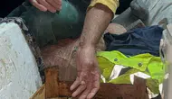 Sinop'ta Balıkçının Ağına Nadir Görülen Mavi Yengeç Takıldı