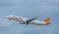 Pegasus, Çekya Hava Yolları ve Smartwings Grubu'nun satın alımını tamamladı