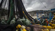 İstanbul Boğazı'nda Lüfer Avı Hareketlendi mi ? Fiyatlar Ne Durumda ?