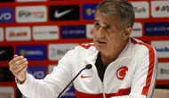 A Milli Takım'da Şenol Güneş İle İlgili Gelişmeler Neler Olacak?