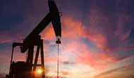 Eski ABD'li Yetkililerin Venezuela'daki Enerji Girişimleri Tartışma Yarattı