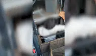 Ankara'da Yolcu Otobüsünün Gizli Bölmesinde 5 Düzensiz Göçmen Yakalandı