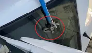 Diyarbakır'da Otomobilin Bagajına Giren Yılanı Esnaf Çıkardı