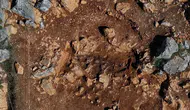 Gölyazı Antik Tiyatrosunda Beklenmedik Mezar Keşfi