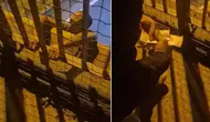 Sultanbeyli'de Trafik Cezası Sonrası İntihar Girişimi