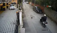 Osmaniye'de Motosikletin Çarptığı Kedi Öldü
