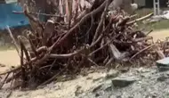 Türkiye ve Rusya Arasında Hava Ulaşımını Geliştirme Temasları