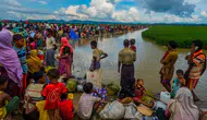 BM Arakan'daki Uluslararası Suç İddialarını Soruşturuyor