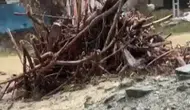 Erzincan'da Sağanak Yağış ve Sel Hayatı Olumsuz Etkiledi