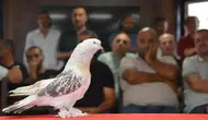 Emekli astsubay güvercinleri için ev kiraladı : Aylık masrafı 10 bin lira