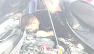 Aksaray'da Otomobilin Motoruna Giren Kedi Oksijen Müdahalesiyle Kurtarıldı