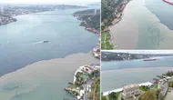 İstanbul Boğazı'nda Şaşırtan Görüntü İki Renge Bölündü