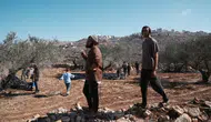 İşgal Altındaki Batı Şeria'da Filistinli Çiftçilere Yönelik Kaçırma Vakalarında Artış