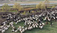 Van Yaylalarından Siirt'e Zorlu Göç Yolculuğu Başladı