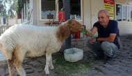 Bekçi ile Kuzunun İnanılmaz Dostluğu Hayran Bırakıyor