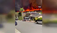 California'da Orman Yangını: 6 Ev Hasar Gördü ve Binlerce Kişiye Tahliye Emri Verildi