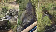Yalova'da Marmara Denizi'ne Kirli Su Deşarjına Büyük Ceza