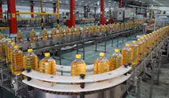 Türkiye'nin Ayçiçeği Yağı İhracatı 9 Ayda 932 Milyon Dolara Ulaştı