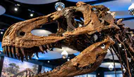 New York'ta Dinozor İskeleti 47,3 Milyon Dolara Alıcı Buldu