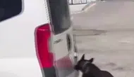 Adana'da araçtan 9 kilo 250 gram skunk çıktı : 2 şüpheli tutuklandı