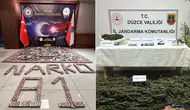 Düzce’de Narkotik ve Kaçakçılık Operasyonu: 1 Tutuklama