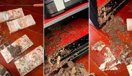 Tayland'da Ev Hayali Kuran Kadının Kasadaki Paralarını Termitler Yedi