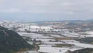 Sarıgöl'de binlerce ton üzüm örtü altında bekliyor