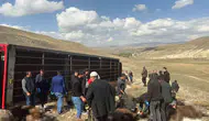 Erzurum'da Tır Devrildi: 130 Küçükbaş Hayvan Telef Oldu