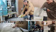 Bitlis bin 800 rakımda kuru fasulye üretim merkezi oldu