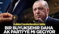 Eskişehir'de Aronya Üretimi: Şifa Deposu Süper Meyve