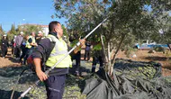 Tekirdağ'da gençlerden uygulamalı zeytin hasadı eğitimi