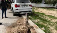 Karaman'da Kontrolden Çıkan Cip Kaldırımdaki Ağacı Devirdi