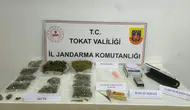 Tokat'ta uyuşturucu operasyonu : 1 kilo 780 gram skunk ele geçirildi, 2 şüpheli tutuklandı